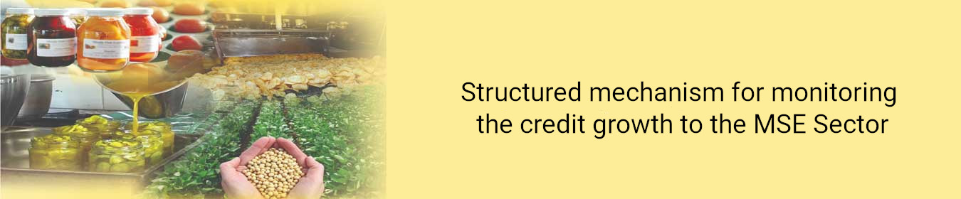 Structured Mechanism for Monitoring the Credit Growth to the MSE Sector